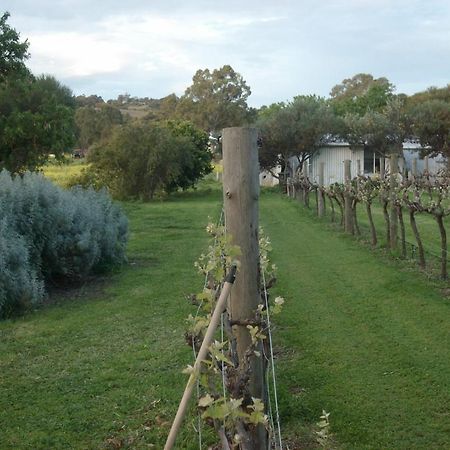 Southern Vales Bed & Breakfast Mclaren Vale Exterior foto