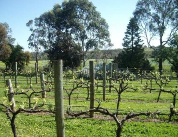 Southern Vales Bed & Breakfast Mclaren Vale Exterior foto