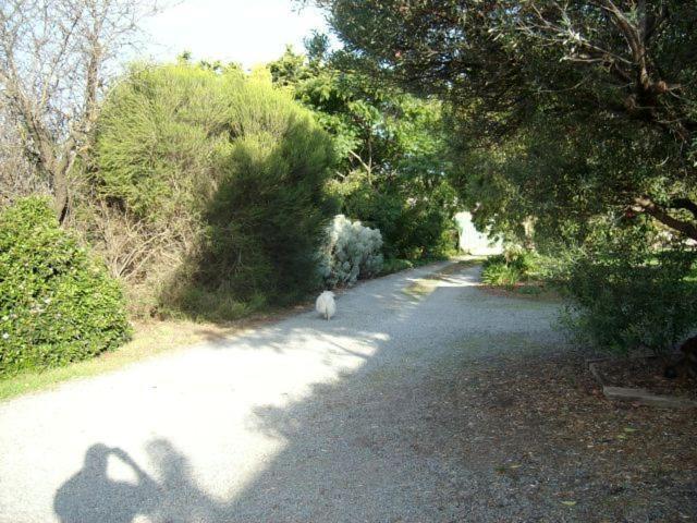Southern Vales Bed & Breakfast Mclaren Vale Exterior foto