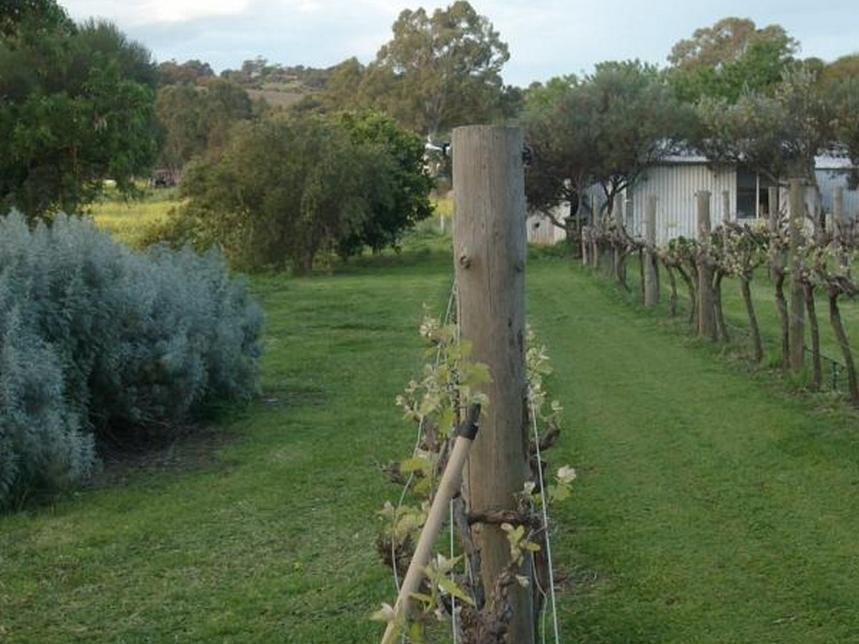 Southern Vales Bed & Breakfast Mclaren Vale Exterior foto