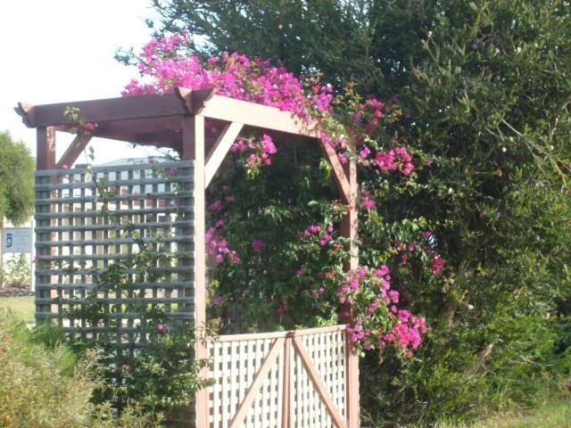 Southern Vales Bed & Breakfast Mclaren Vale Exterior foto