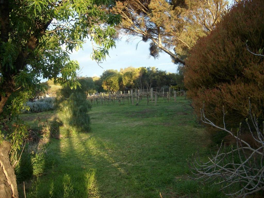 Southern Vales Bed & Breakfast Mclaren Vale Exterior foto